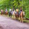 St. Jude Trail and Wagon Ride